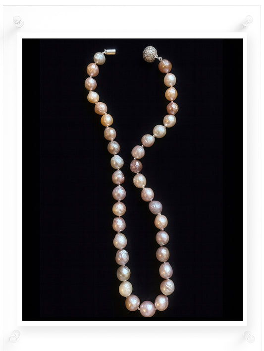 Pearls in Light - Coming Soon