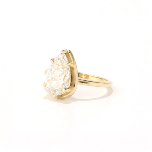 Dearness Diamond & Moissanite Ring